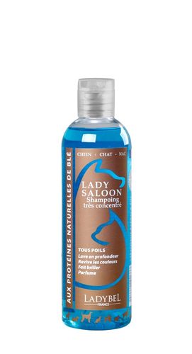 LADY SALOON, Hochkonzentriertes Profi Shampoo, 1:9, 200 ml bis 20 Ltr
