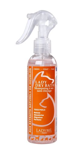 LADY DRY BATH, Sprüh-Trocken-Shampoo, 200 ml oder 1 Liter