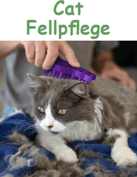 Cat Fellpflege